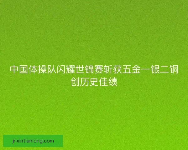 中国体操队闪耀世锦赛斩获五金一银二铜创历史佳绩